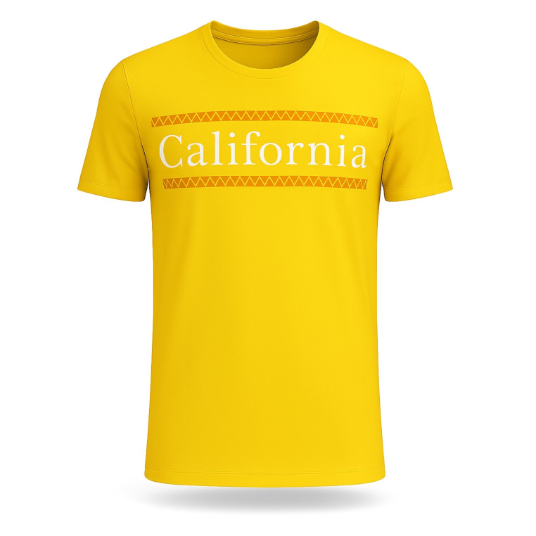 Hollister pánské tričko 1877800