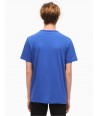 Calvin Klein pánské tričko 41QK961