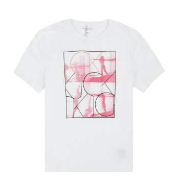 Calvin Klein pánské tričko 415101P