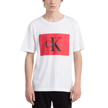 Calvin Klein pánské tričko 2177112