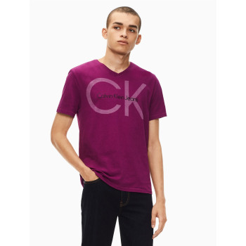 Calvin Klein pánské tričko 2177038