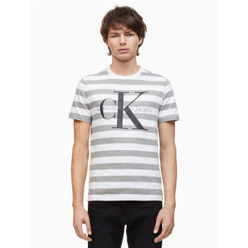 Calvin Klein pánské tričko 7177 stripe