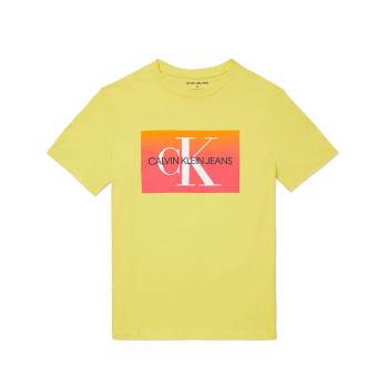 Calvin Klein pánské tričko iconic logo 4658 žluté