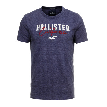 Hollister pánské tričko iconic logo 222