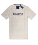 Hollister pánské tričko Logo beige 0210-402