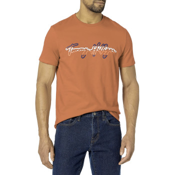 Tommy Hilfiger pánské tričko s krátkým rukávem Written Logo orange/red