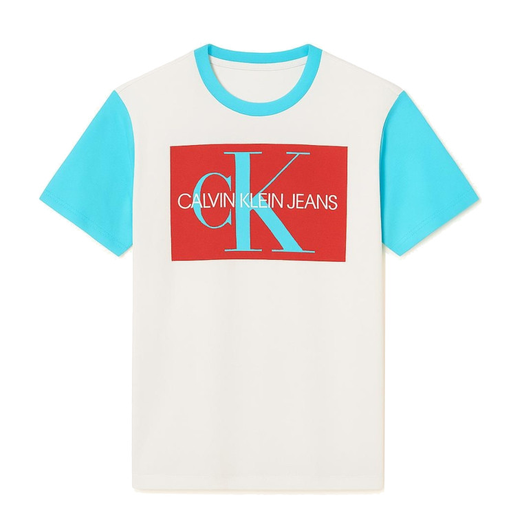 Calvin Klein Pánské Tričko s Krátkým Rukávem Iconic Bílé