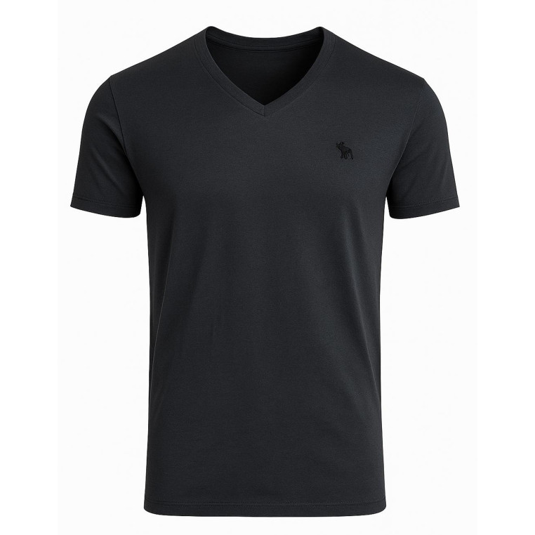 Abercrombie & Fitch pánské tričko