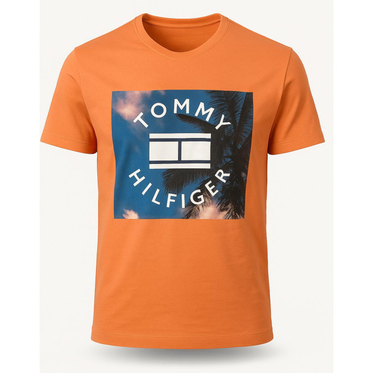 Tommy Hilfiger Pánské Tričko s Krátkým Rukávem – Burgundy Brown