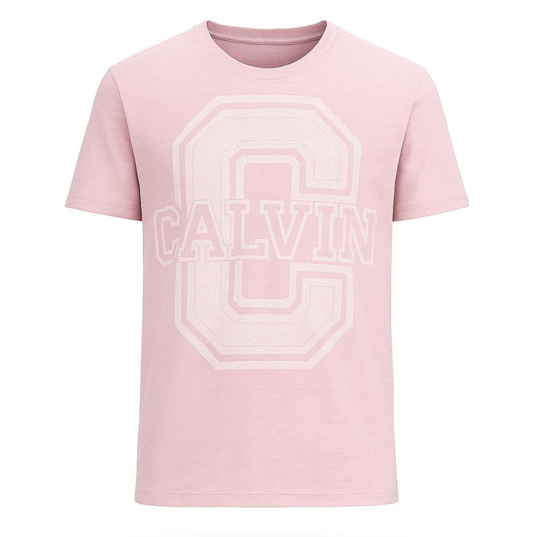 Calvin Klein Pánské Tričko s Krátkým Rukávem Key Mist